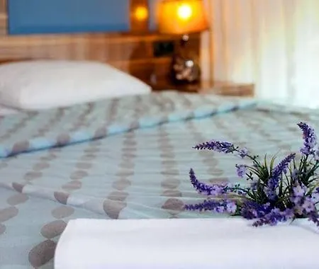 Grand Sakarya 3* Adapazari