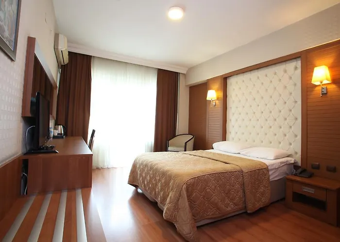 Grand Sakarya Hotel 3*